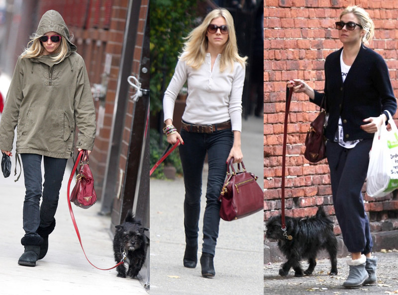 Style de stars: Sienna Miller et son chien